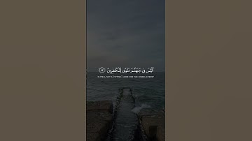 إنك ميتٌ وإنهم ميتون #ماهر_المعيقلي #سورة_الزمر
