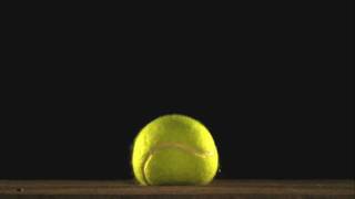 The Beauty of Slow Motion - Tennis Ball Bounce screenshot 2