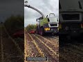 how modern corn harvesting machines work