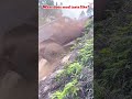 What Does Mud Taste Like рџ RC Car RC Offroad Remote Control Car Speed What Does Mud Taste Like рџ RC Car RC Offroad Remote Control Car Speed