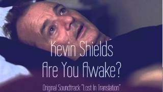 Kevin Shields - Are You Awake?