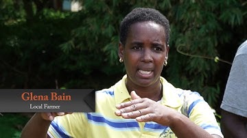 Overview of J CCCP Pilot Projects in Grenada