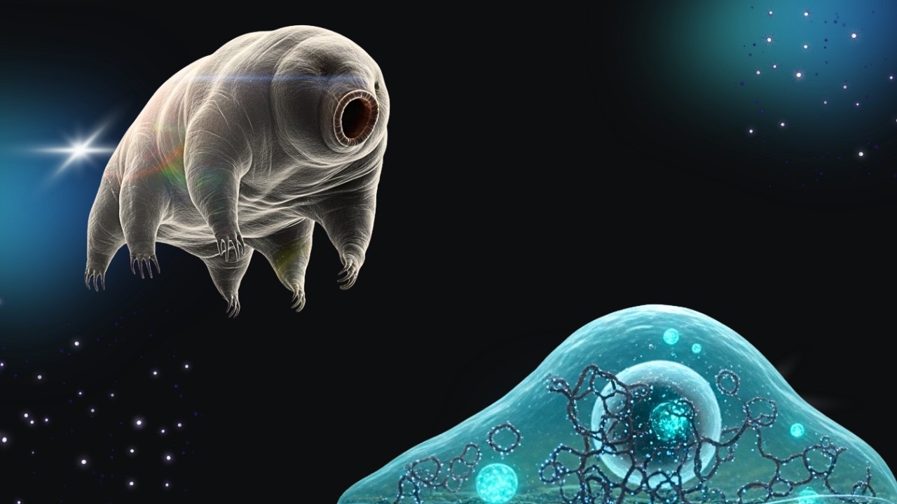 Panspermia: Did life on earth come from outer space? - YouTube
