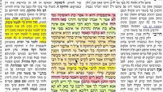 דף היומי מסכת מכות דף ה׳ 5 שישי כ״א חשון תשע״ח