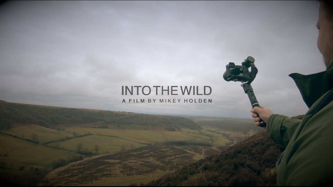 INTO THE WILD  CINEMATIC FILM - YouTube