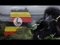 Volunteer in uganda  the great projects