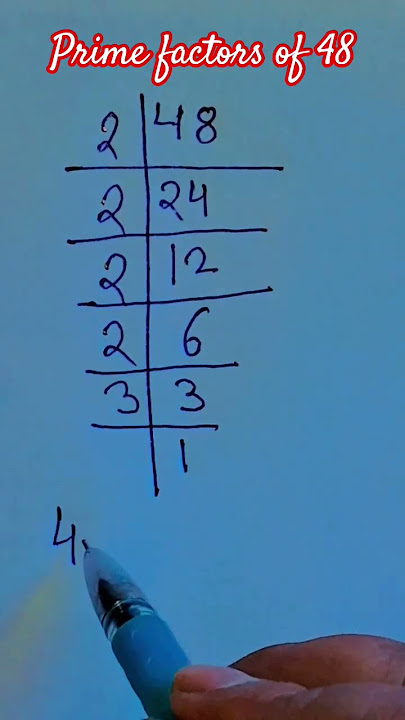 prime factors of 48