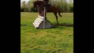 Advert reference - 307335