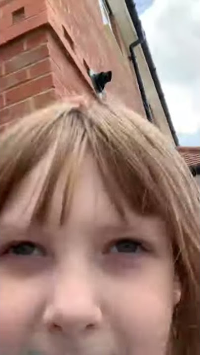 Ddxxxxx