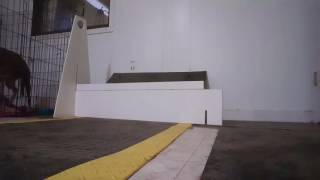 Squint working on flyball box work