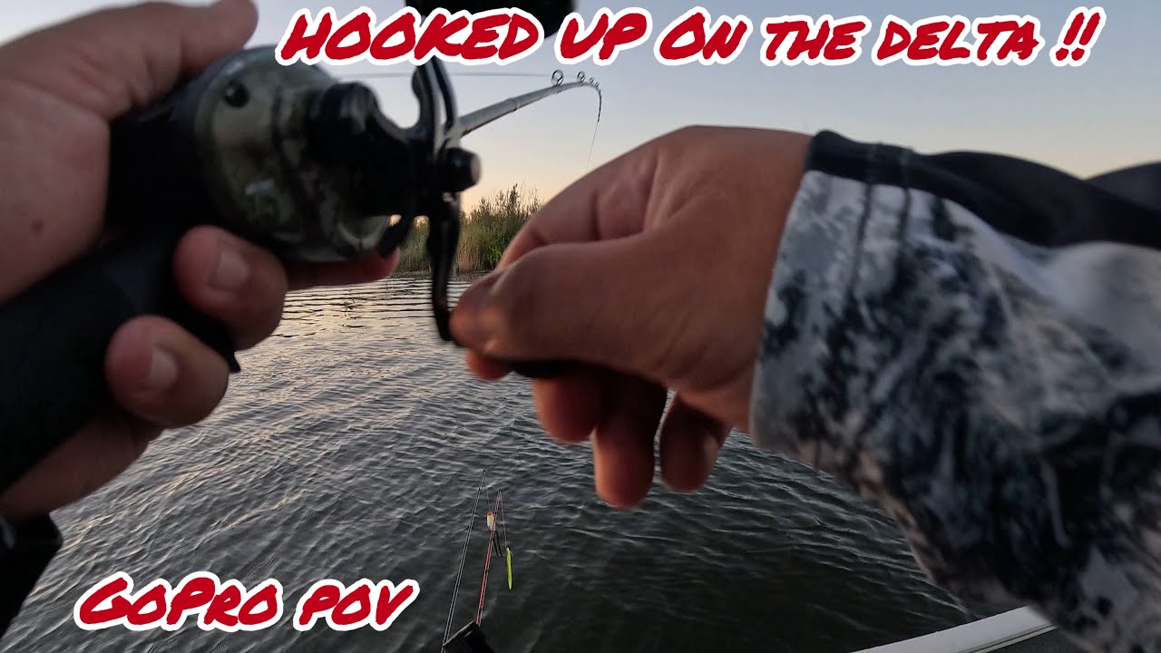 (Part2) First Time Bass Fishing On A Boat In 20 YEARS !!