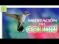 LA ENSEÑANZA DEL COLIBRÍ - Meditación guiada