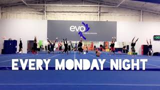 EVO's Adult Open Gym