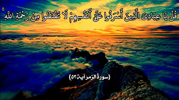 آياتٌ مختارةٌ مِنَ الذكرِ الحكيم سورةُ الزمر آية ٥٣ )#هل_القرآن_الأبرار