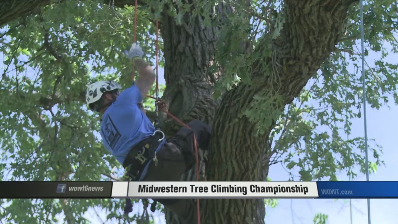 Midwestern Tree Climbing Championship - YouTube