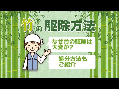 竹の駆除は根絶やしが基本｜竹を枯らす方法と処分の仕方