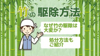 竹の駆除は根絶やしが基本 竹を根絶させる方法と処分の仕方 生活110番