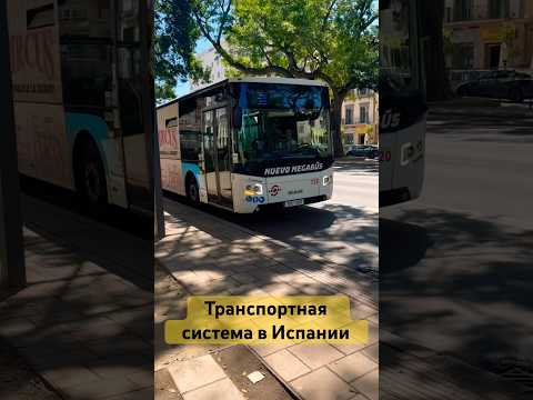 Транспортная система в Испании. Автобус или авто? #испания