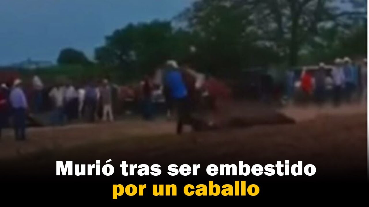 YouTube player