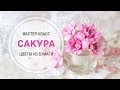 МК &quot;Сакура&quot; с помощью ножей AgiArt