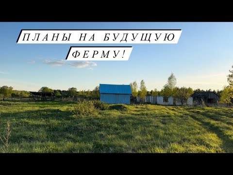 Видео: Гуляем всей семьей в полях!Дискуем 20 га!Написали заявление на беспризорных коров!