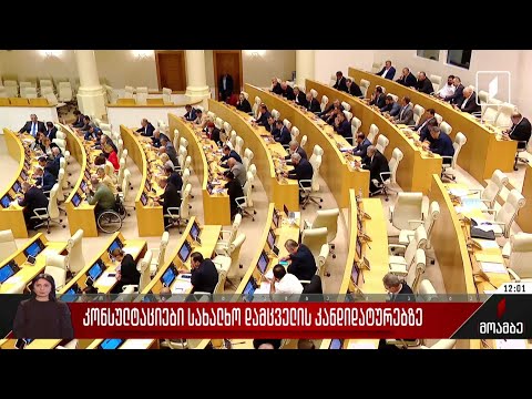 კონსულტაციები სახალხო დამცველის კანდიდატურებზე