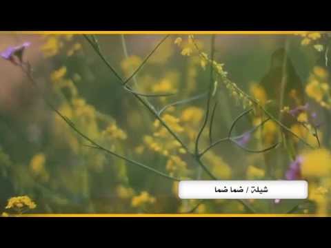 شيلة ضما ضما كلمات علي بن حمري آداء محمد بن زميع