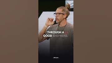 The Surprising Way Sheep Stay Safe Together!