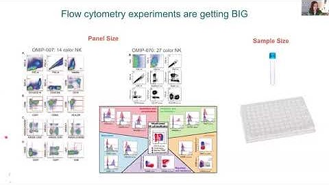 High Parameter Workflow with EmbedSOM and FlowSOM - Jul 18, 2024 with Veronica Obregon Perko