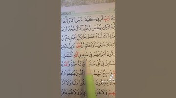 ‏سورة البقرة (٢٦٠) _ (٢٦١) ‏الصفحة (٤٤) ‏الحفظ القرآن الكريم