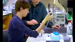 Professor Lonnie Shea: Cell Culture Environments