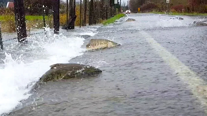 5 Moments You Wouldn't Believe if Not Filmed