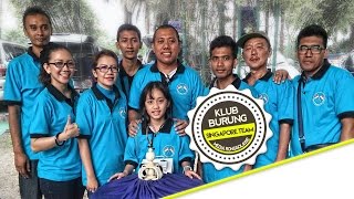 KONTES BURUNG : Indonesian Singapore Shama Team at RONGGOLAWE CUP