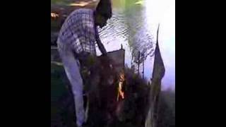 Laguna Chica,Tezonapa-Veracruz 3ro