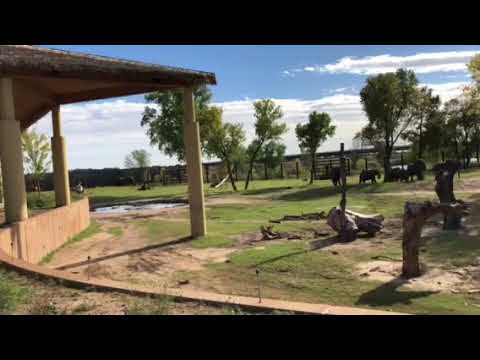 Trip To The Sedgwick County Zoo In Wichita, KS Part 1