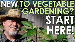 Absolute Beginner's Guide to Starting a Vegetable Garden || Black Gumbo