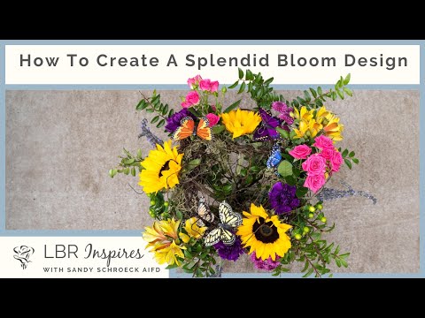 Video: Blom op siklamen - hoe om siklamen weer te laat blom