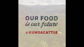 Kunoa Cattle Company