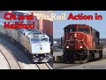 Via rail 15 and cn l519 train action in halifax ns