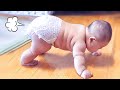 Funny babys  adorable chubby baby moments compilations