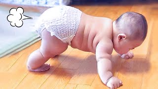 Funny Baby Videos  Adorable Chubby Baby Moments Compilations