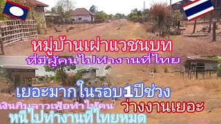 หมู่บ้านเขตชนบทลาว 🇱🇦 ใต้บ้านที่มีคนไปทำงานที่ไทยเยอะมากที่สุดในรอบ1ปีช่วงเงินเฟ้อ#อัดตะปือ