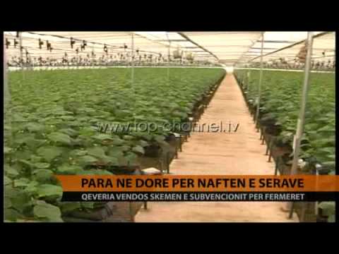 Video: Pjalmimi i trangujve me dorë: Këshilla për pjalmimin e bimëve të kastravecit