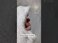 16 липня 2025 р.