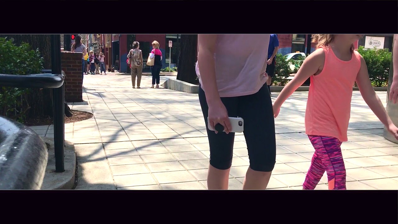 5 Mo Old English Springer Spaniel, Belle | Best Spaniel Dog Trainers | Greenville Dog Trainers agility logistics