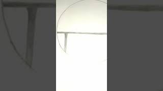Pencil Drawing Crazy Bug