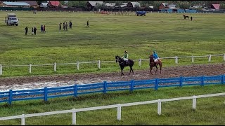 Скаковой день 21 июня. Дистанция 1600 м. Батл Мэн