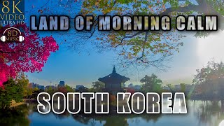 South Korea Land Of The Morning Calm In 8K Ultra Hd Hdr With 8D Relaxing Music 8K Visual 8D Audio