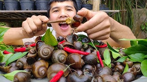 GỎI ỐC BƯƠU VÀNG Ghém Lá Sung. Cooking Snail and Eating | Duy Thao