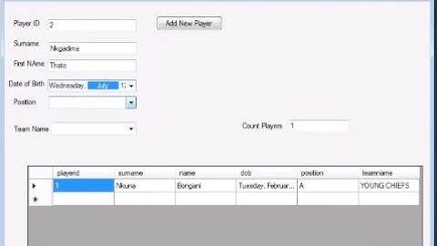 Visual Basic Database using Microsoft Access